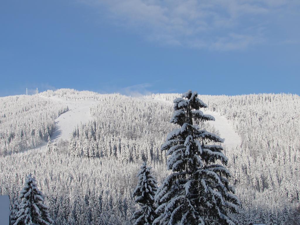Penzion Brnenka Špindlerŭv Mlýn Buitenkant foto